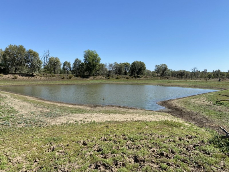 502 Bungeworgorai Lane, Dargal Road QLD 4455