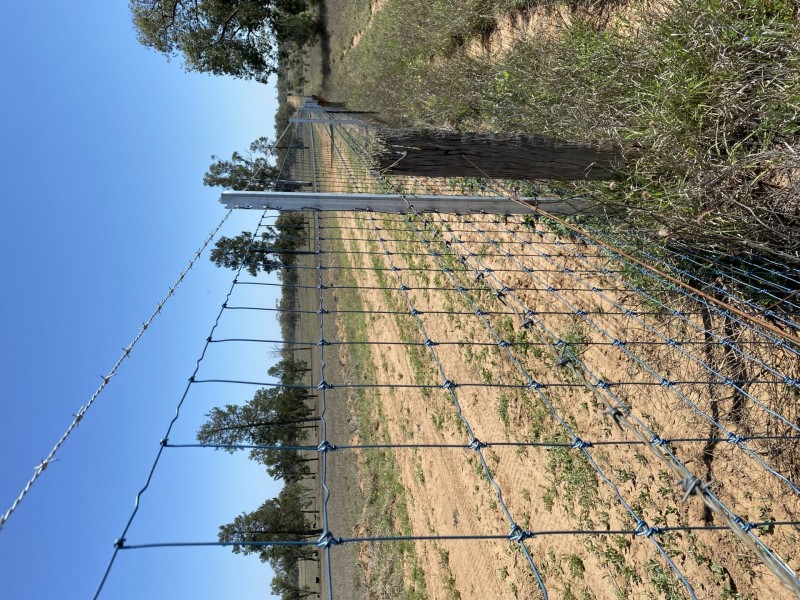 502 Bungeworgorai Lane, Dargal Road QLD 4455