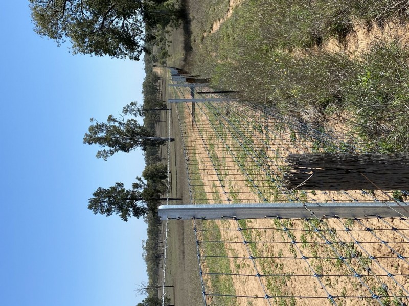 502 Bungeworgorai Lane, Dargal Road QLD 4455