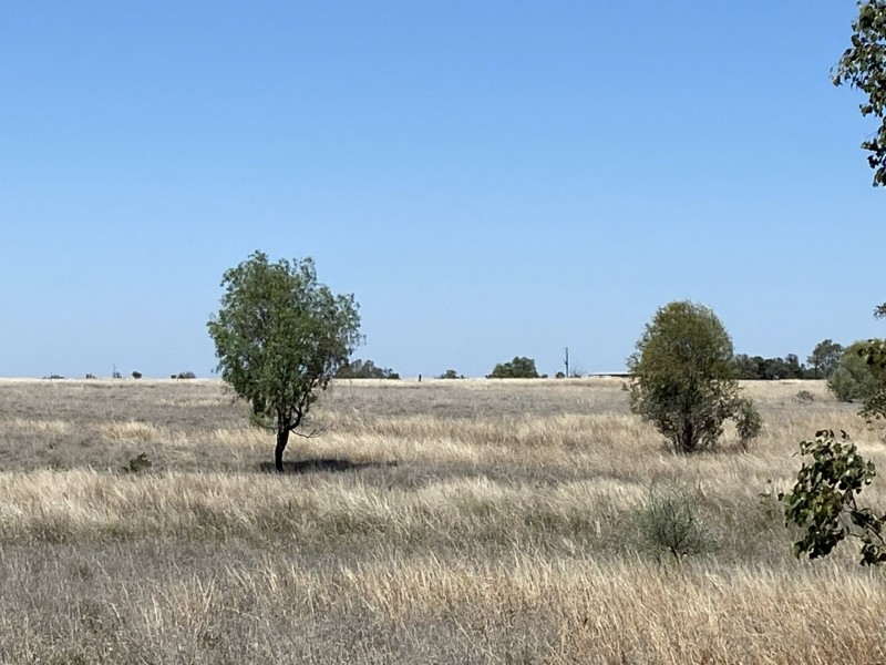 502 Bungeworgorai Lane, Dargal Road QLD 4455