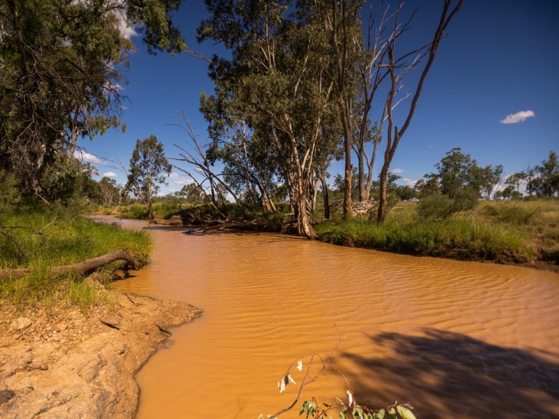 390 Charlton Bank Road, Roma QLD 4455