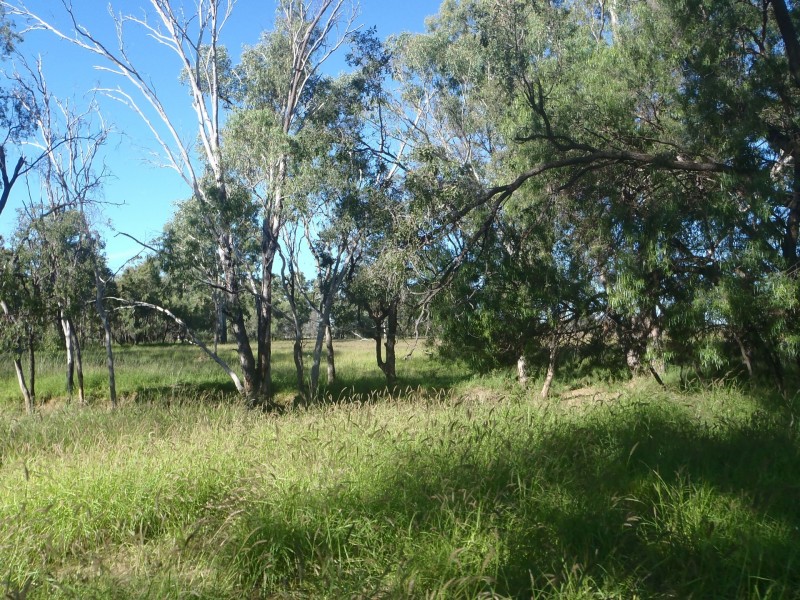 149 Swans Road, Wallumbilla QLD 4428