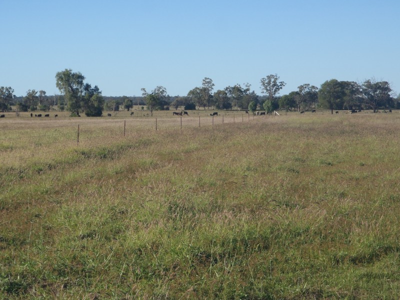 149 Swans Road, Wallumbilla QLD 4428