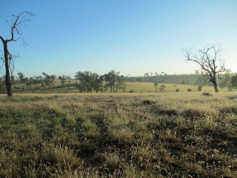 Goldsborough Road, Roma QLD 4455