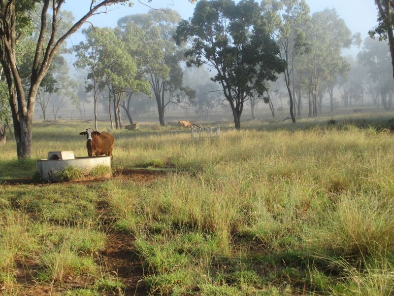Goldsborough Road, Roma QLD 4455