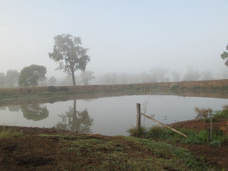 Goldsborough Road, Roma QLD 4455