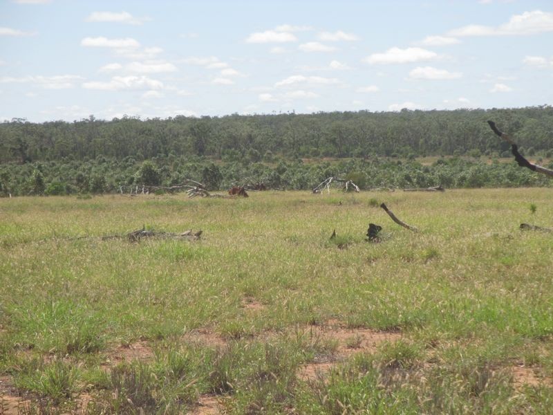 Middle Road, Mitchell QLD 4465