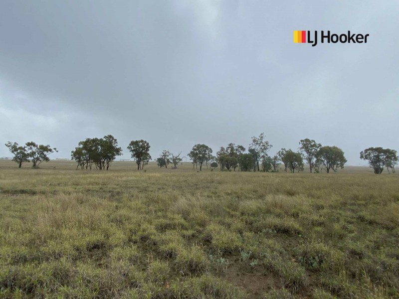 269-307 Geoghegan Road, Roma QLD 4455