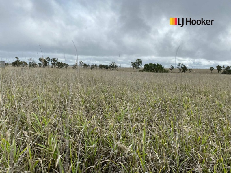 269-307 Geoghegan Road, Roma QLD 4455