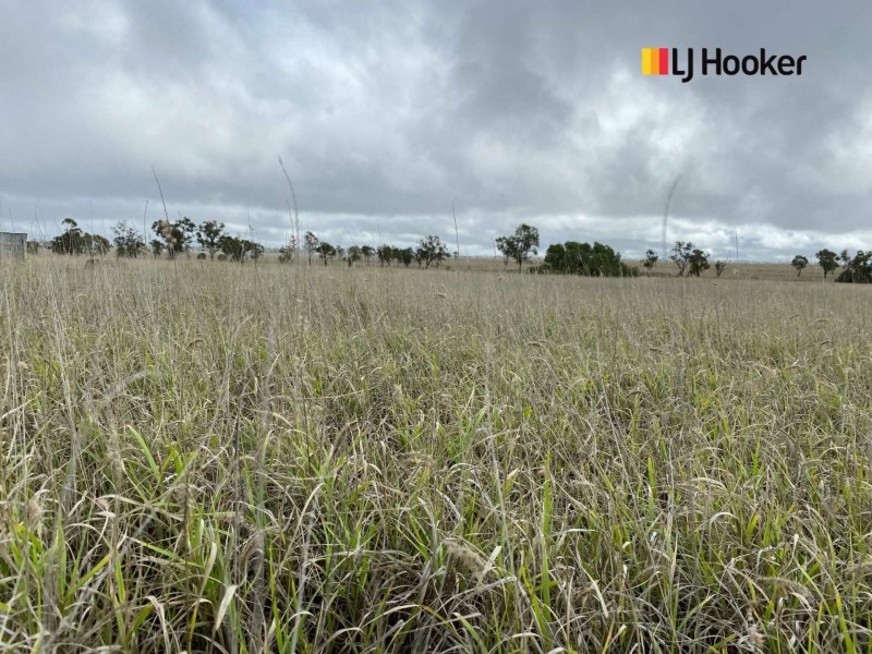 269-307 Geoghegan Road, Roma QLD 4455