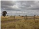 , Roma QLD 4455