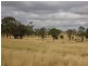 , Roma QLD 4455
