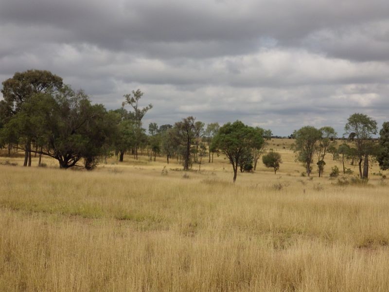 , Roma QLD 4455