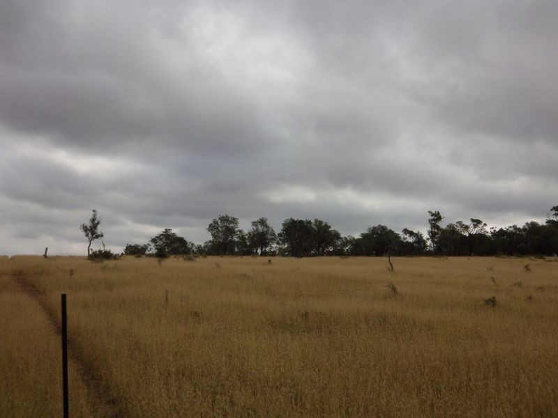 , Roma QLD 4455