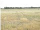 Stake Yard Road, Wallumbilla QLD 4428
