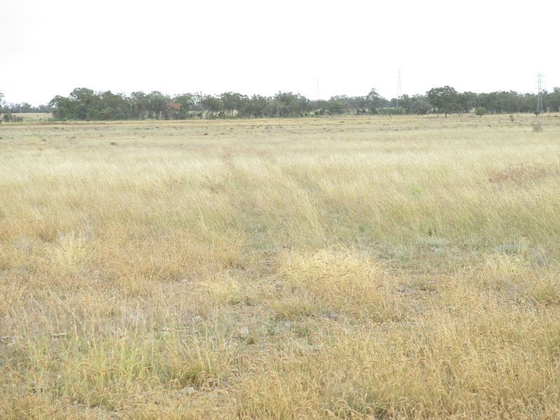 Stake Yard Road, Wallumbilla QLD 4428