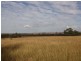 Carnarvon Developmental Road, Injune QLD 4454