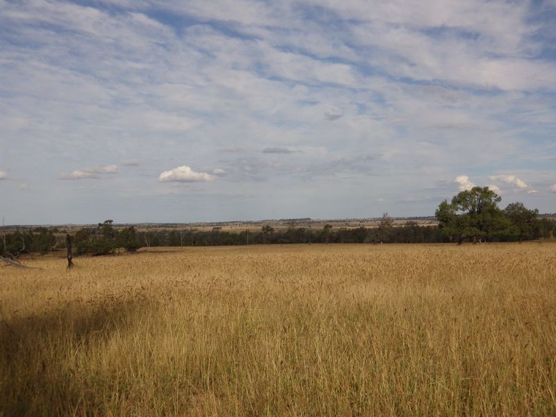 Carnarvon Developmental Road, Injune QLD 4454