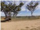 Carnarvon Developmental Road, Injune QLD 4454