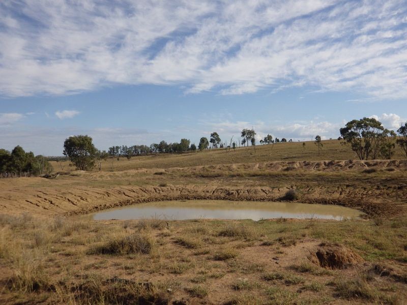 Carnarvon Developmental Road, Injune QLD 4454