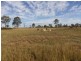 Carnarvon Developmental Road, Injune QLD 4454