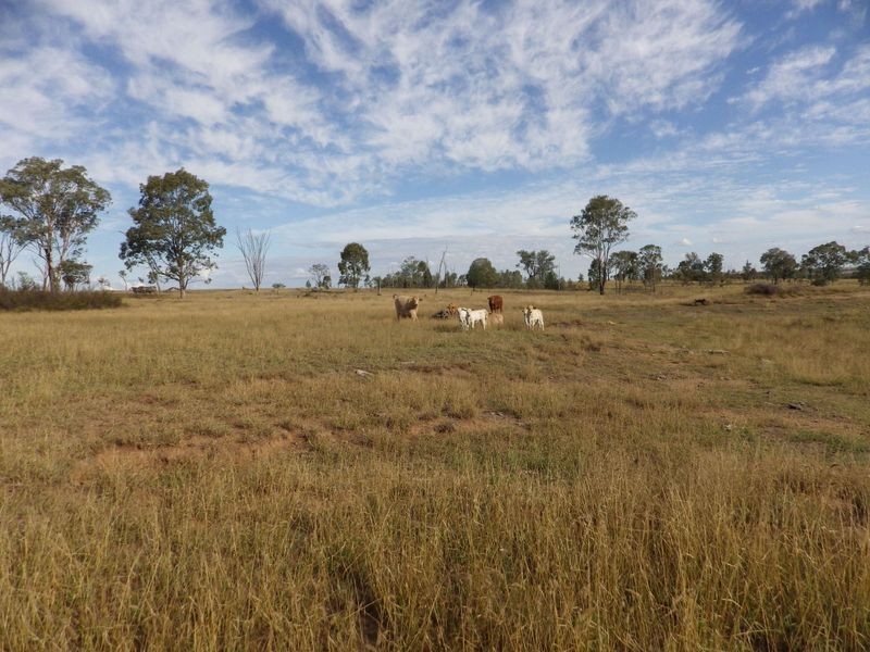 Carnarvon Developmental Road, Injune QLD 4454