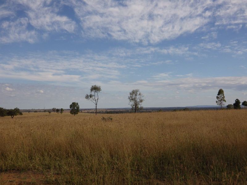 Carnarvon Developmental Road, Injune QLD 4454