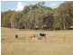 Carnarvon Developmental Road, Injune QLD 4454