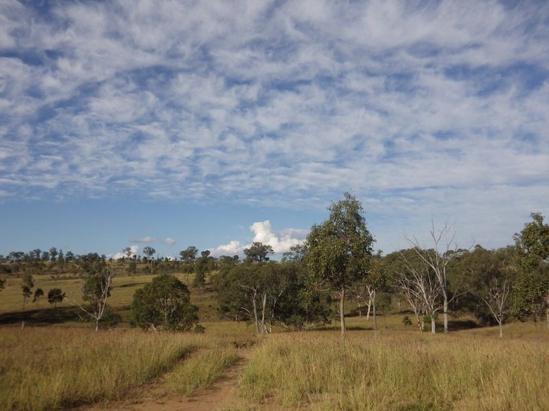 Carnarvon Developmental Road, Injune QLD 4454