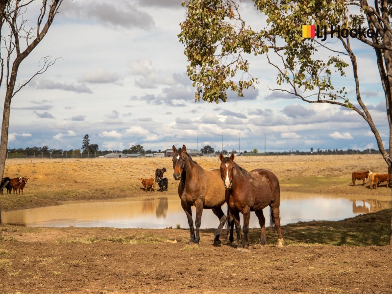 47 Euthulla Road, Roma QLD 4455