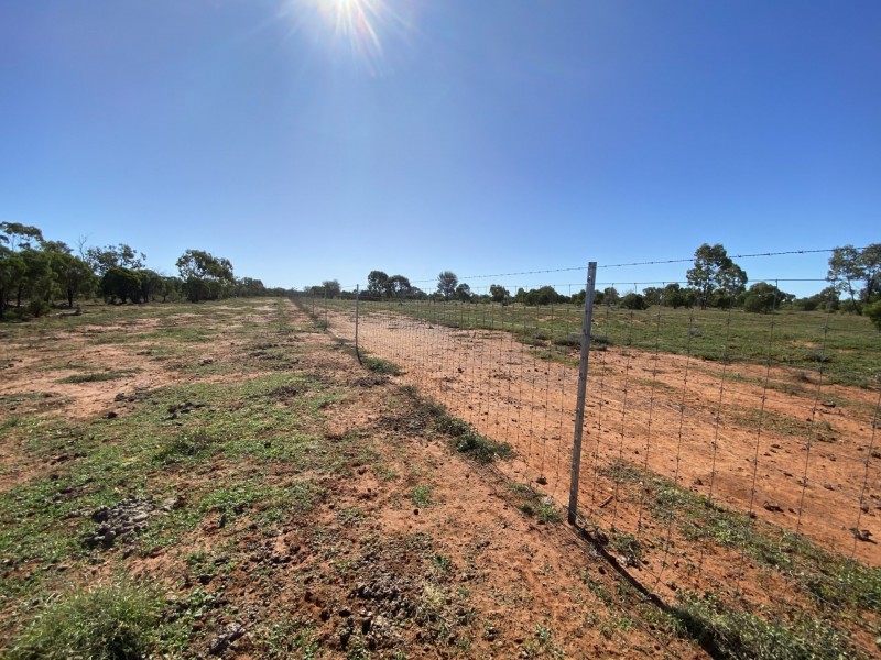 14677 Charleville-Bollon Road, Morven QLD 4468