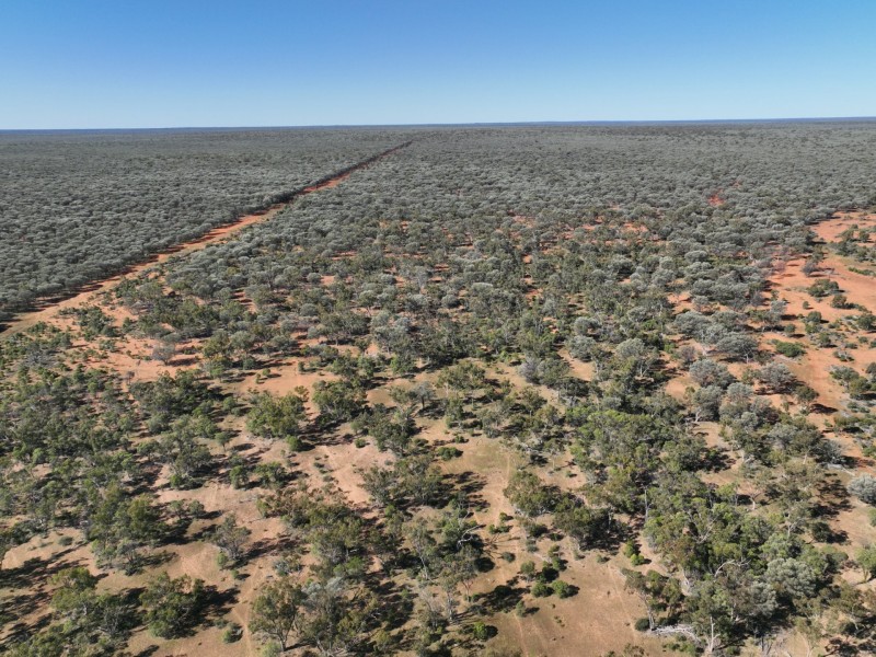 14677 Charleville-Bollon Road, Morven QLD 4468