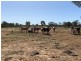 14677 Charleville-Bollon Road, Morven QLD 4468