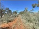14677 Charleville-Bollon Road, Morven QLD 4468