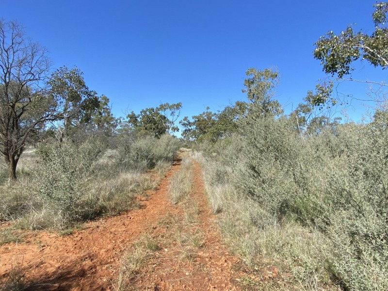 14677 Charleville-Bollon Road, Morven QLD 4468