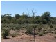 14677 Charleville-Bollon Road, Morven QLD 4468
