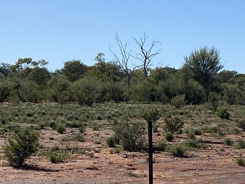 14677 Charleville-Bollon Road, Morven QLD 4468