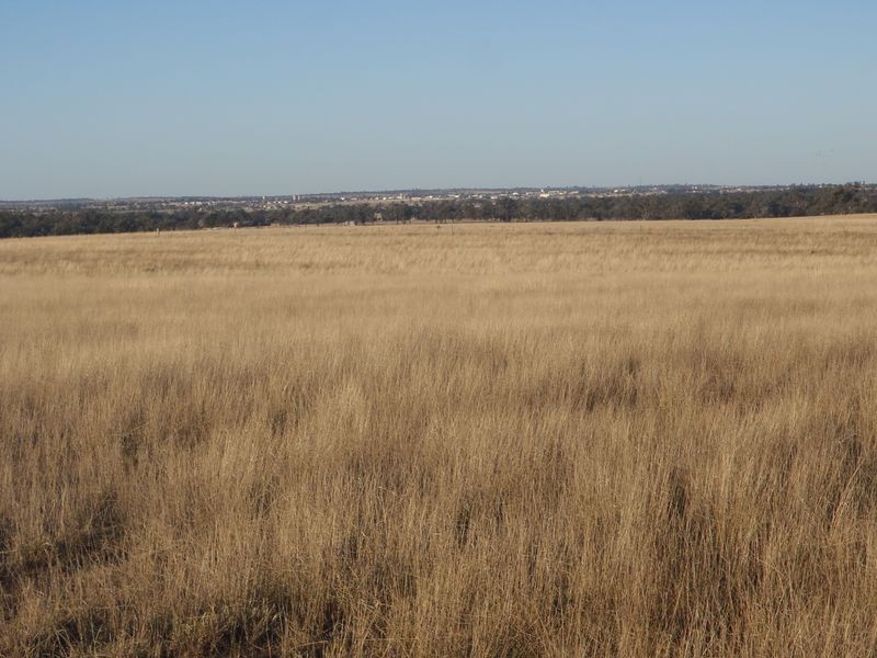 Henzell Lane, Roma QLD 4455