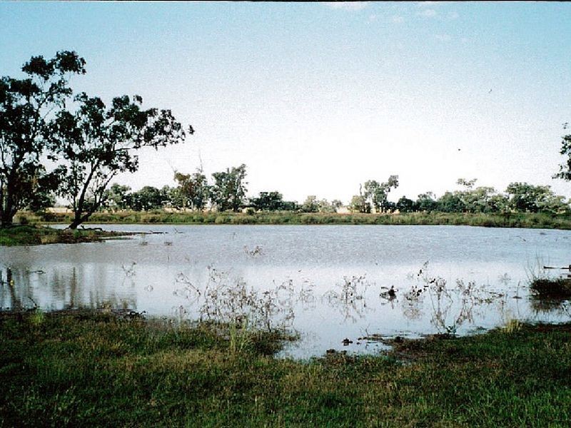 Henzell Lane, Roma QLD 4455