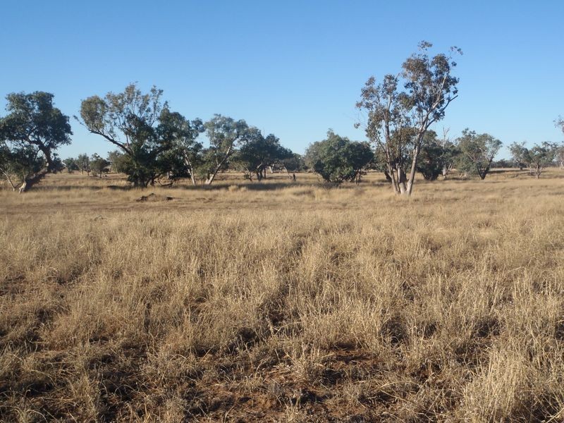 Henzell Lane, Roma QLD 4455