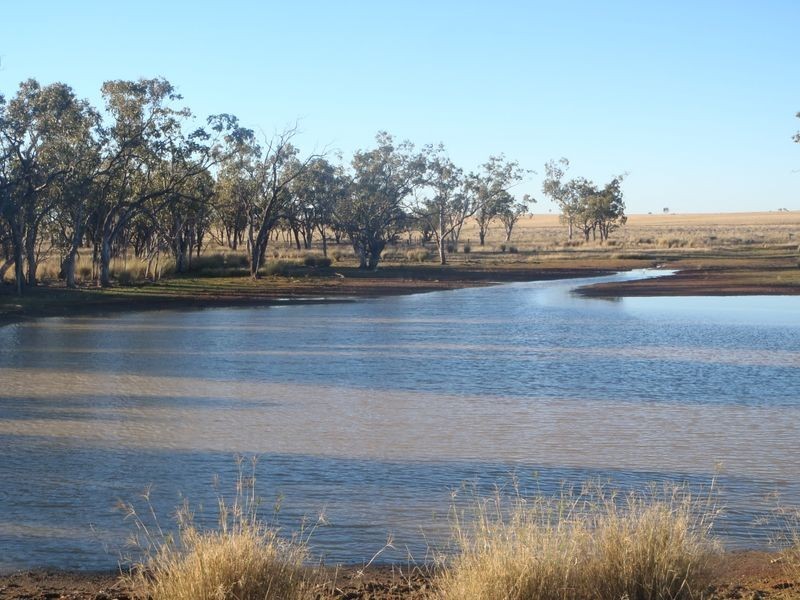 Henzell Lane, Roma QLD 4455