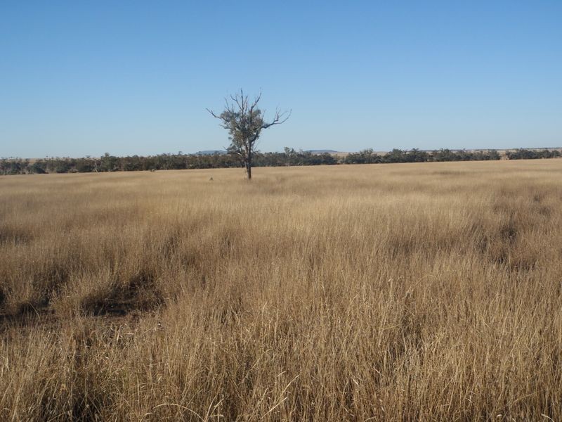 Henzell Lane, Roma QLD 4455