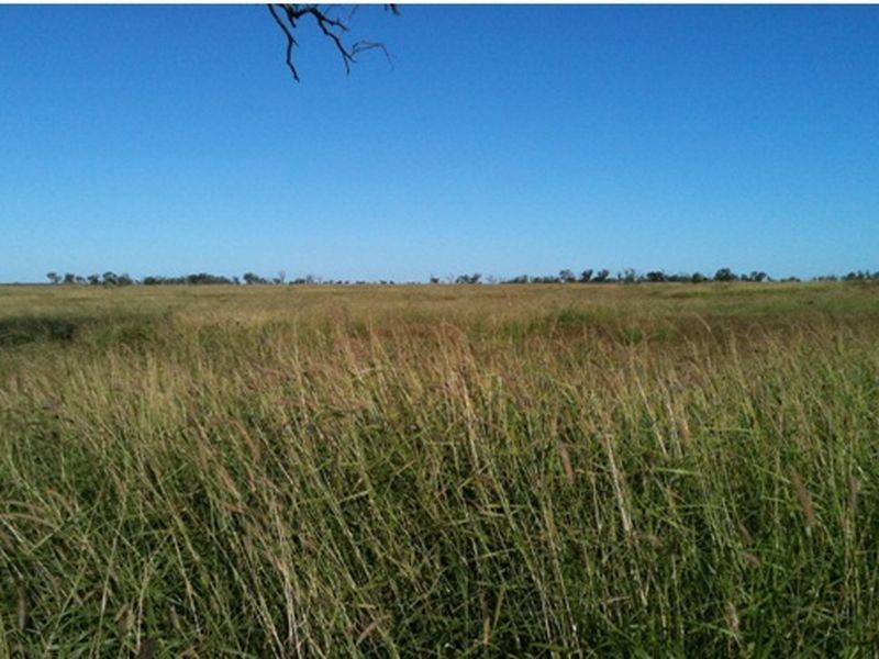 MT Abundance Road, Roma QLD 4455