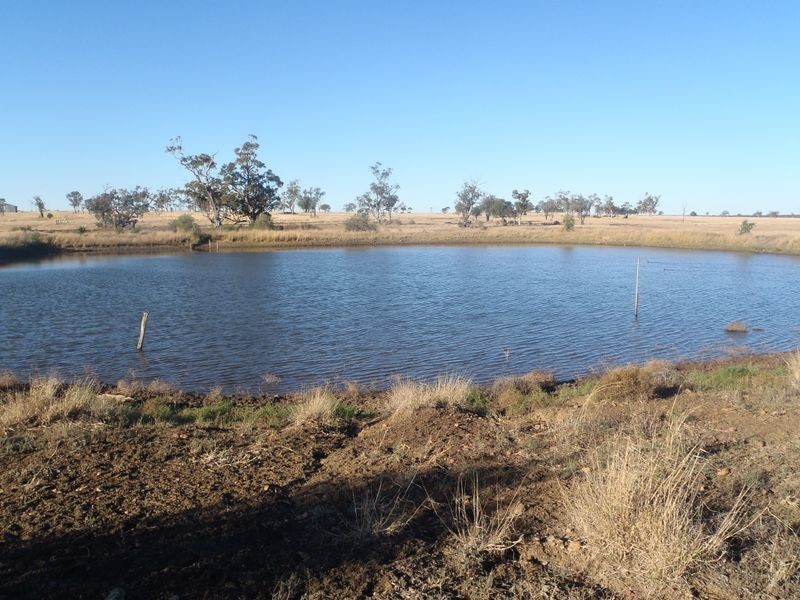MT Abundance Road, Roma QLD 4455