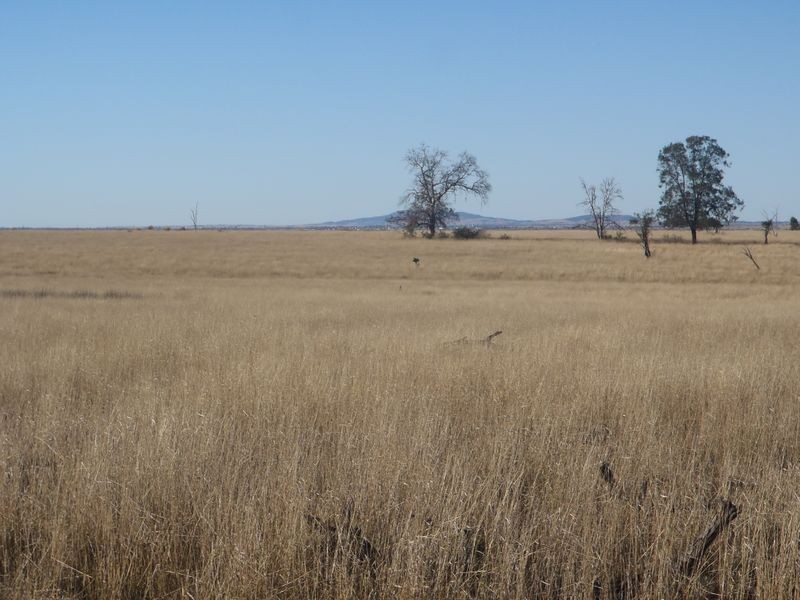 MT Abundance Road, Roma QLD 4455