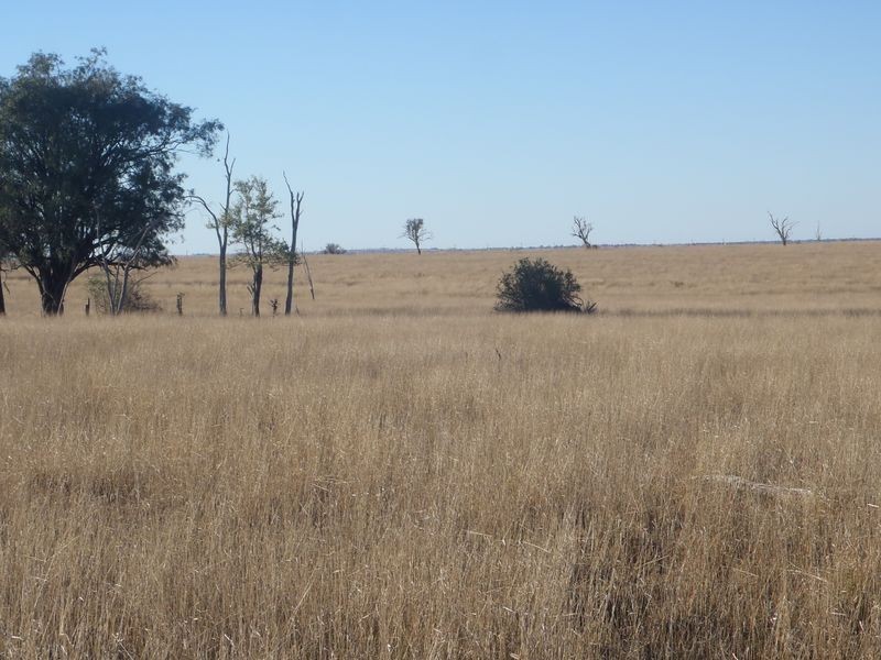 MT Abundance Road, Roma QLD 4455