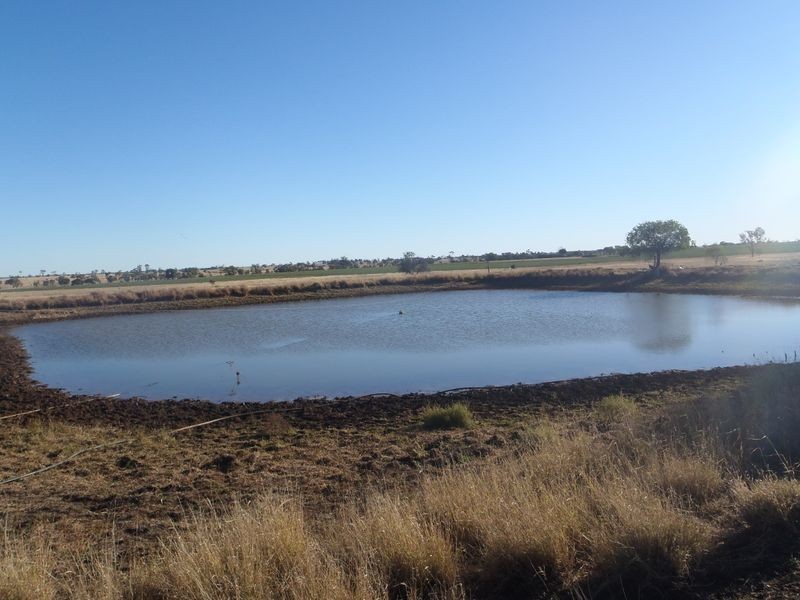 MT Abundance Road, Roma QLD 4455