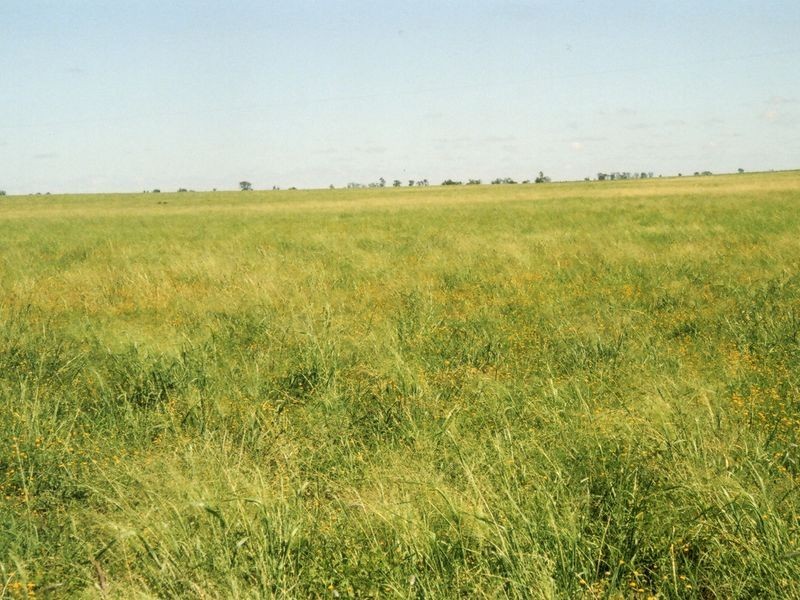 Address Available on Request, Roma QLD 4455