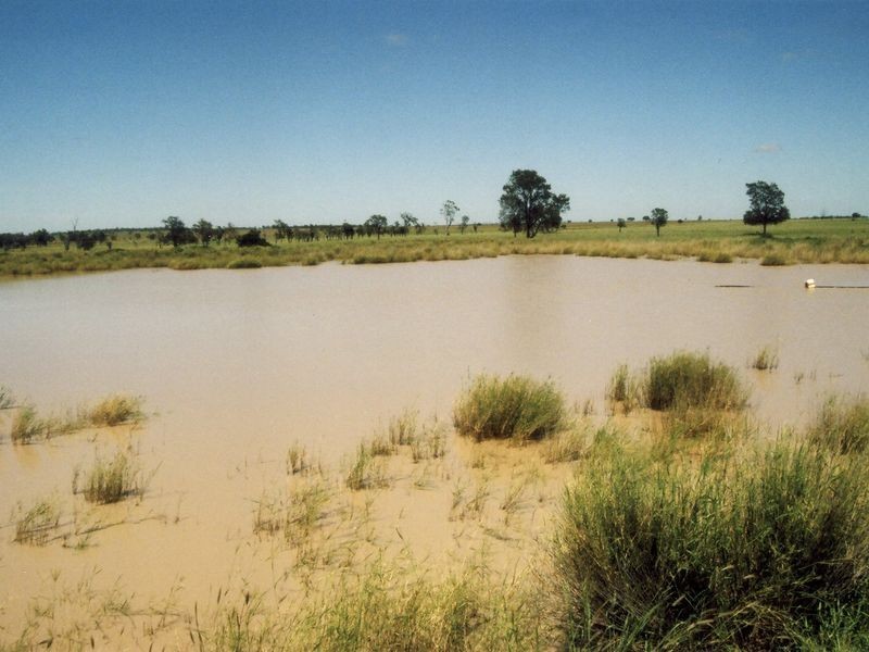 Address Available on Request, Roma QLD 4455