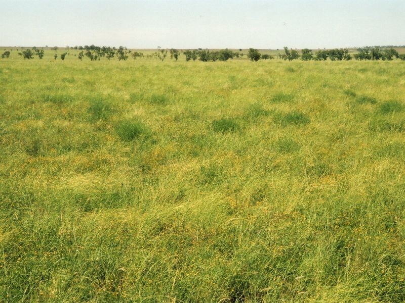 Address Available on Request, Roma QLD 4455